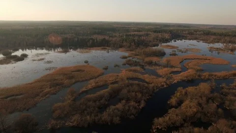 Drone flying backwards over forest land covered with high water at sunset autumn Stock Footage 96236089