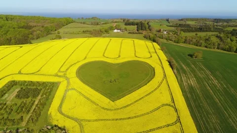Drone flying backwards over a heart shaped grass field surrounded by beauti.. Video stock 274436180