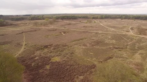 Drone flying backwards over heath and forest in Blaricum The Netherlands Stock Footage 75352927