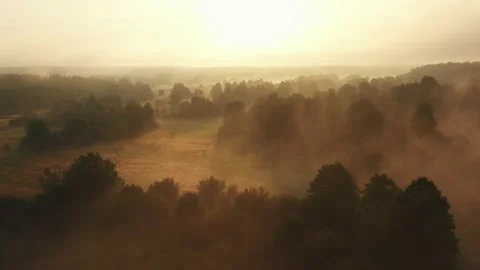 Drone flying backwards over incredible sunrise valley, trees and river covered Video stock 153662931