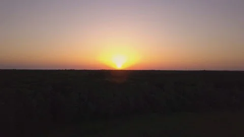 Drone Flying Backwards Over Lake at Sunset in Ocala in 4K Stock Footage 93853239