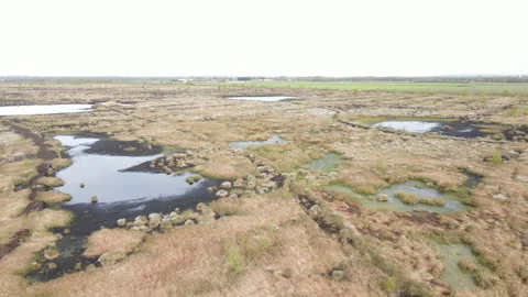 Drone Flying Backwards Over Peat Bog, 4K 動画素材 219083711