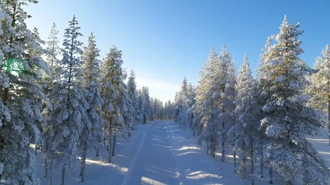 Drone flying backwards over road in winter forest in Finland Stock Footage 275260670
