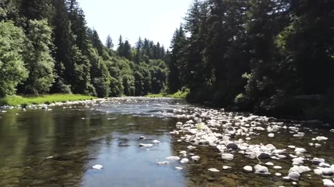 A drone flying backwards over a shallow river valley with trees and exposed rock Stock Footage 157455523