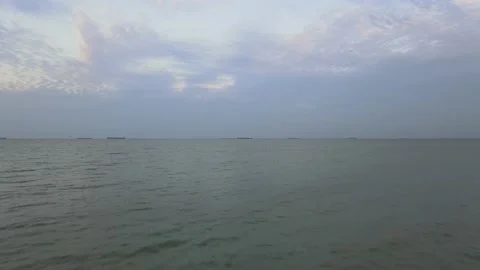 Drone flying backwards from the sea passing through the tree Stock Footage 149630707