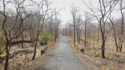 Drone flying backwards through a dry forest over a road that goes to a villag Stock Footage 130693642