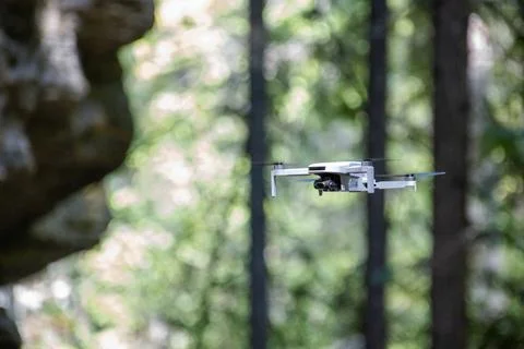 Drone flying between forest trees Stock Photos
