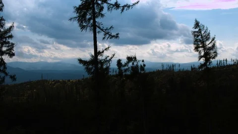 Drone flying between trees in a mountain valley 4k HDR H264 Stock Footage 88320676