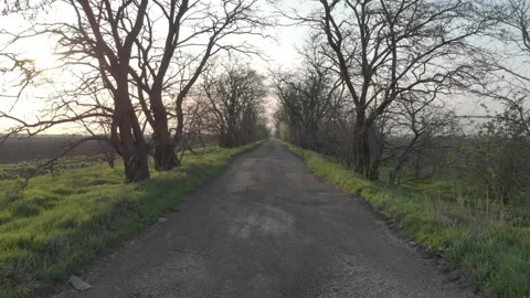 Drone flying between the trees over a dirt road Video stock 232719366