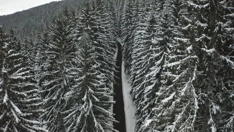 Drone flying between trees over snowy forest road in winter 스톡 동영상 322514093