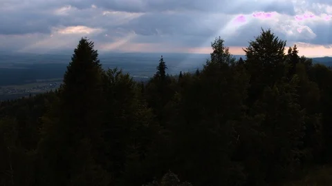 Drone flying between the trees showing the valley among the sunrays piercing thr Stock Footage 88319787
