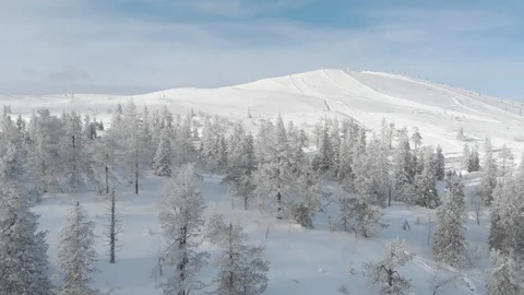 Drone flying between winter snowy trees while slowly rising. Lapland, Finland Stock Footage 104844417