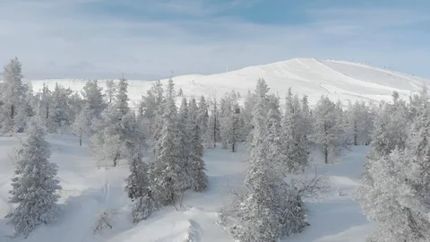 Drone flying between winter snowy trees while slowly rising. Lapland, Finland Stock Footage 104844538