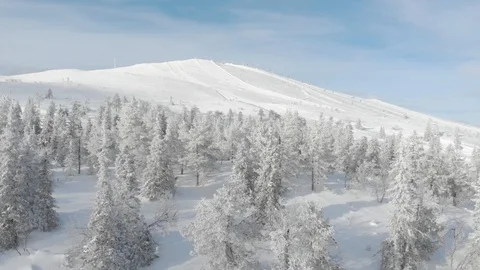 Drone flying between winter snowy trees while slowly rising. Lapland, Finland Stock Footage 104844785