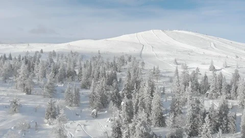 Drone flying between winter snowy trees while slowly rising. Lapland, Finland Stock Footage 104845086
