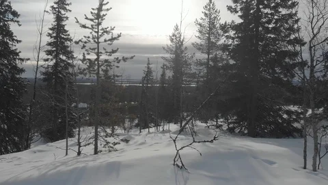 Drone flying between winter snowy trees while slowly rising. Lapland, Finland Stock Footage 104845173