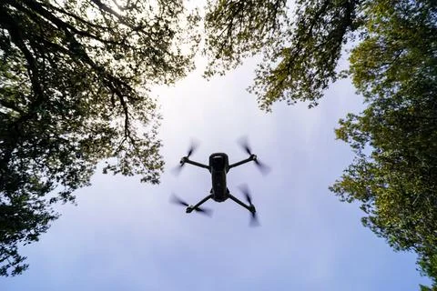Drone flying in the blue sky between the branches of the trees. Stock Photos