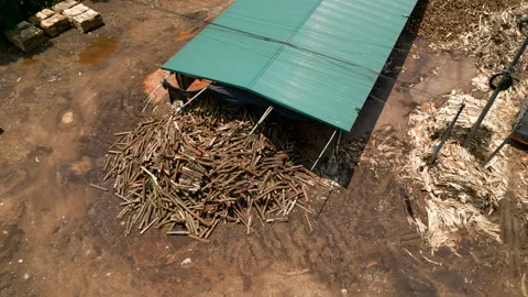 Drone flying in circle over the cut and stacked tree trunks in vietnam Stock Footage 303843584