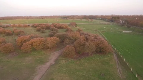 Drone flying in a circle over heath with trees and buildings in background Stock Footage 75350898