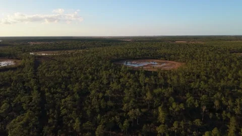 Drone flying a circular pattern in the John C. and Mariana Jones Hungryland Video stock 333040518