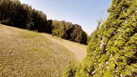 Drone flying close proximity to trees 動画素材 224158935