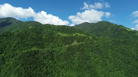 Drone flying close to a sunlit forested mountain peak, Adjara 스톡 동영상 337339735