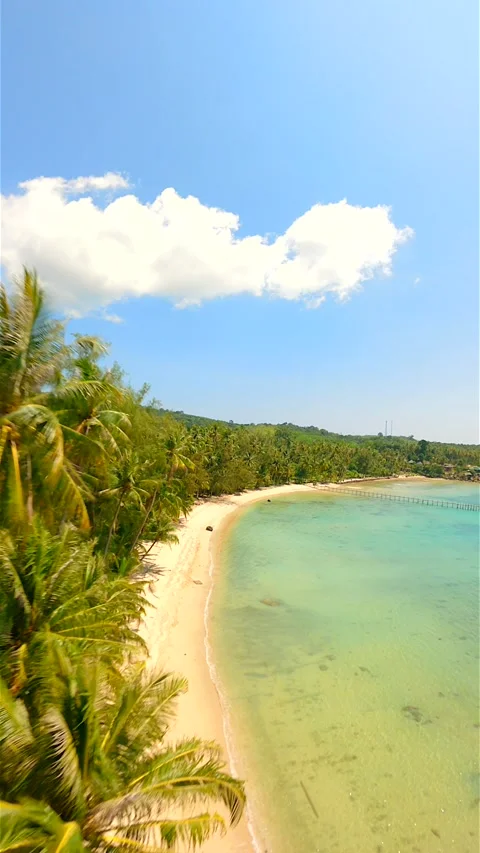 Drone flying close to towerting coconut palm trees and over white sand beach. Stock Footage 239632748