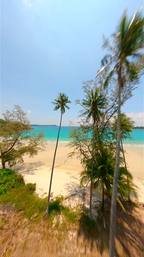 Drone flying close to towerting coconut palm trees and over white sand beach. Stock Footage 244855856