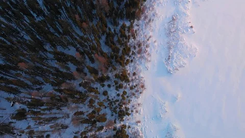Drone flying close to the treetops and looking straight down into winter scene  Vídeos de archivo 124618957