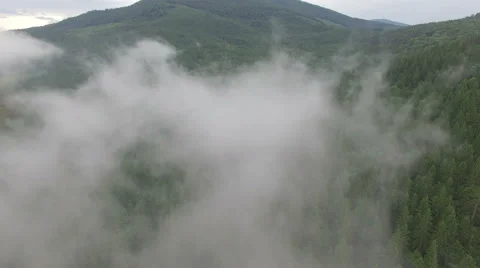 Drone flying in the clouds above the forest Stock Footage 67109931