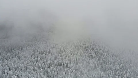Drone flying in the clouds during snowstorm over winter forest. Stock Footage 122431953