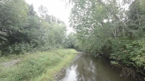 Drone Flying Up Creek in Wooded Area (Desaturated) Stock Footage 252632753