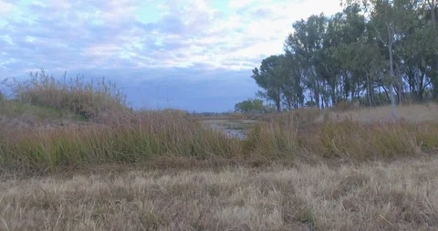 Drone flying directly over a small pond. (D-Log) Vídeo Stock 92236335