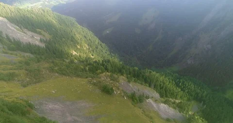 Drone flying down montain pine forest in switzerland Video stock 119218430