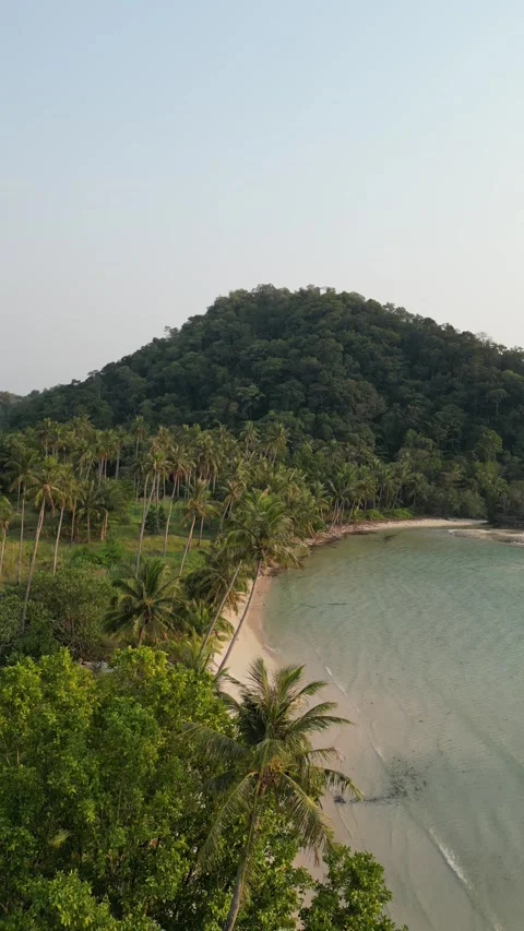 Drone Flying Down Over Tropical Palm Tree Forest and Beach in Ko Chang, Thailand Stock Footage 335571698