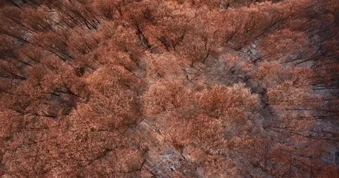 Drone flying down a snow covered mountain road bridge 4k 動画素材 123613037