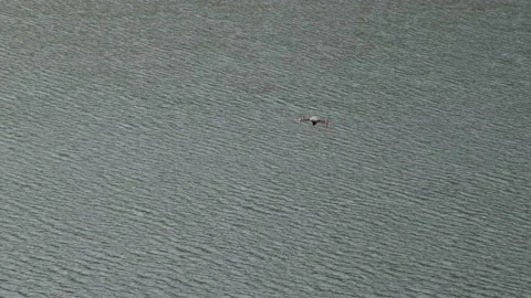 Drone flying, drone flying over lake and upcoming to camera Stock Footage 166550064