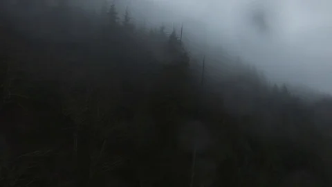 Drone flying eagles while one of them takes and rain drops fall on lense Video stock 104923980