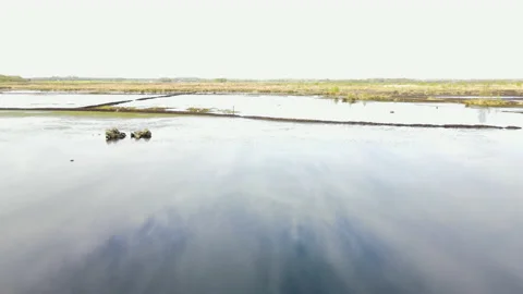 Drone Flying Fast Over Peat Bog With Birds, 4K 動画素材 220083143