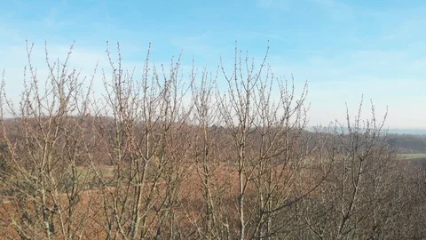 Drone flying from fielddown behind trees Stock Footage 103146825