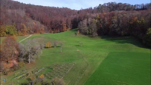 Drone Flying forest at the Bischofstein Castle in Switzerland. Video stock 149073435