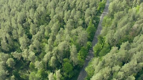 Drone flying forest crashes falls down Stock Footage 132679185