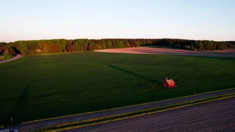 Drone flying to the forest over the field Stock Footage 276530208