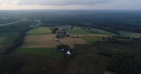 Drone flying forward above fields of wheat and other plants. Aerial farm scene Stock Footage 79051636