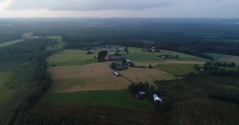 Drone flying forward above fields of wheat and other plants. Aerial farm scene Stock Footage 79051775
