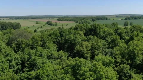 Drone flying forward above forest and open fields Video stock 331874007