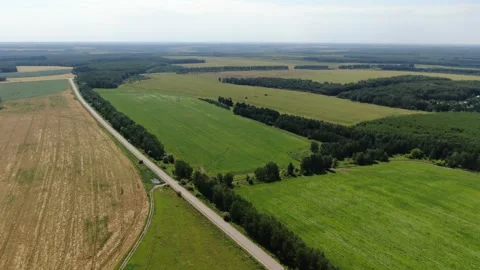 Drone flying forward above green agricultural fields Video stock 333278776
