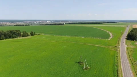 Drone flying forward above green potato field rows Видео 333278842