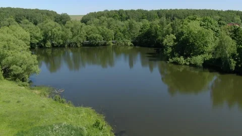 Drone flying forward above lake and trees Stock Footage 331873981