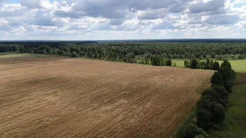 Drone flying forward above open field Vidéo 326203718